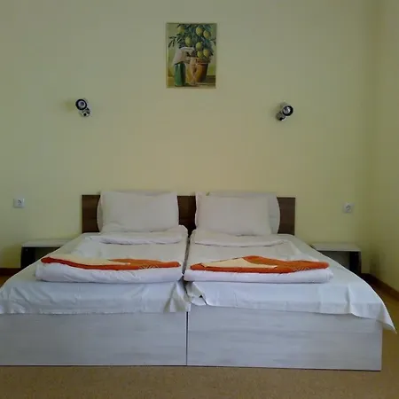 招待所 Kovachevi House