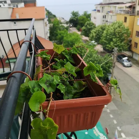 Kovachevi House 3* 普里莫尔斯科