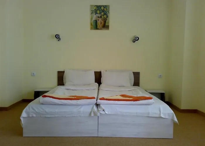 Guest house Kovachevi House